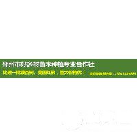 邳州市好多樹苗木種植專業(yè)合作社